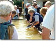 Panning for gold
